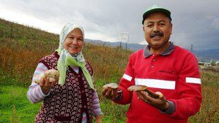 Aydın’da Yağışlardan Sonra Çıkan Mantarlar Vatandaşın Yüzünü Güldürdü