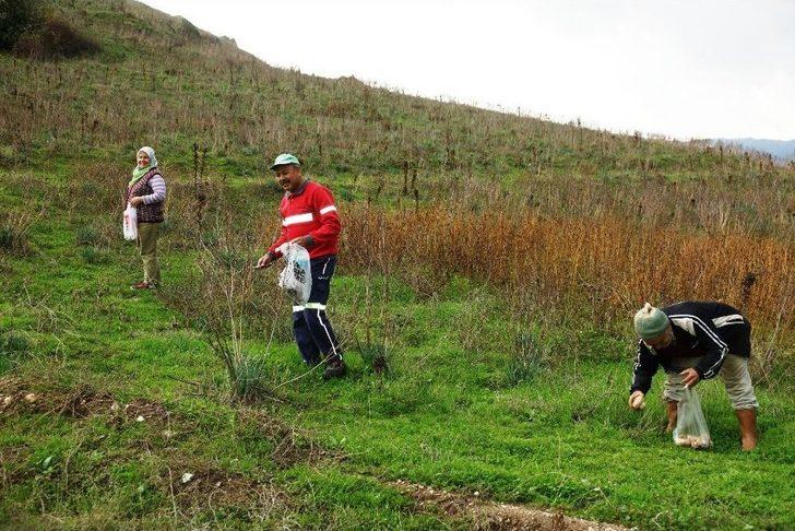 Aydın’da Yağışlardan Sonra Çıkan Mantarlar Vatandaşın Yüzünü Güldürdü G4