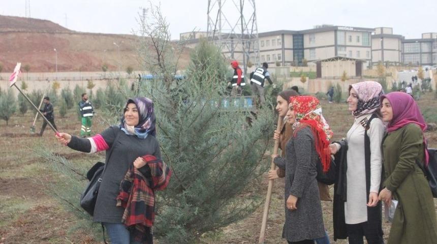 Siirt’te Hatıra Ormanına Bin 50 Ağaç Dikildi