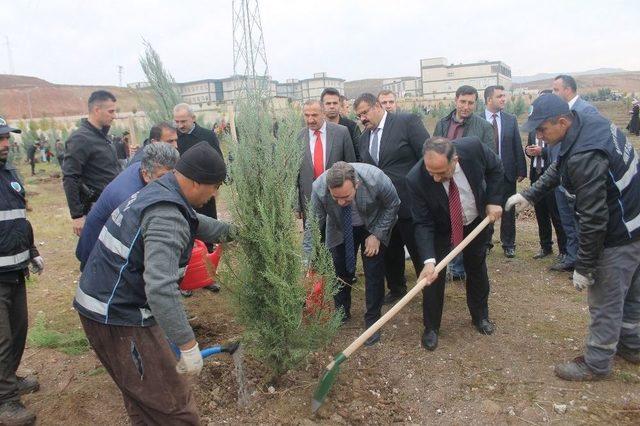 Siirt’te Hatıra Ormanına Bin 50 Ağaç Dikildi