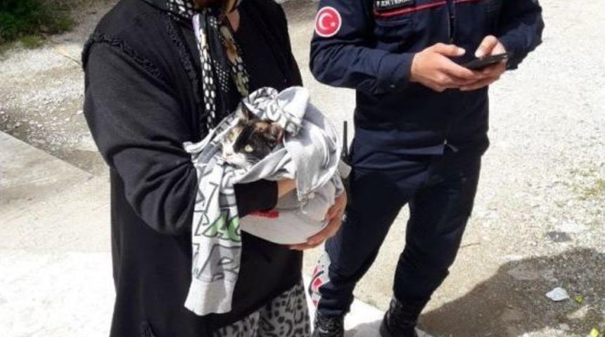 Panjurda Mahsur Kalan Kediyi İtfaiye Ekipleri Kurtardı