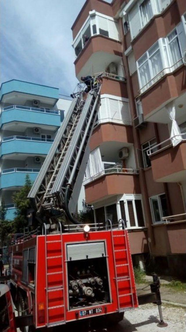 Panjurda Mahsur Kalan Kediyi İtfaiye Ekipleri Kurtardı