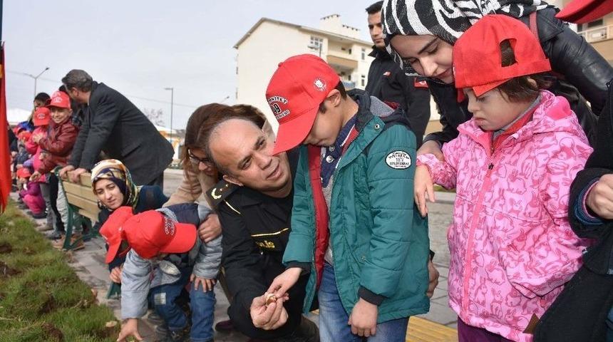 Engellilerden Lale Ekimi