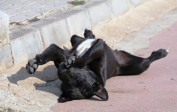 Antalya’da Yaz Bitmiyor G4