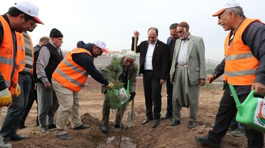 Şanlıurfa’da Yeşillendirme Çalışmaları Sürüyor