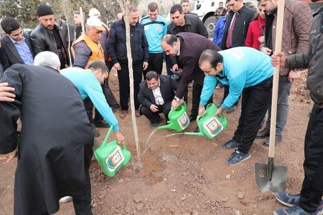 Şanlıurfa’da Yeşillendirme Çalışmaları Sürüyor