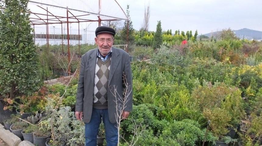 Burhaniye’de 50 Yıllık Çiçekçi Takdir Topladı