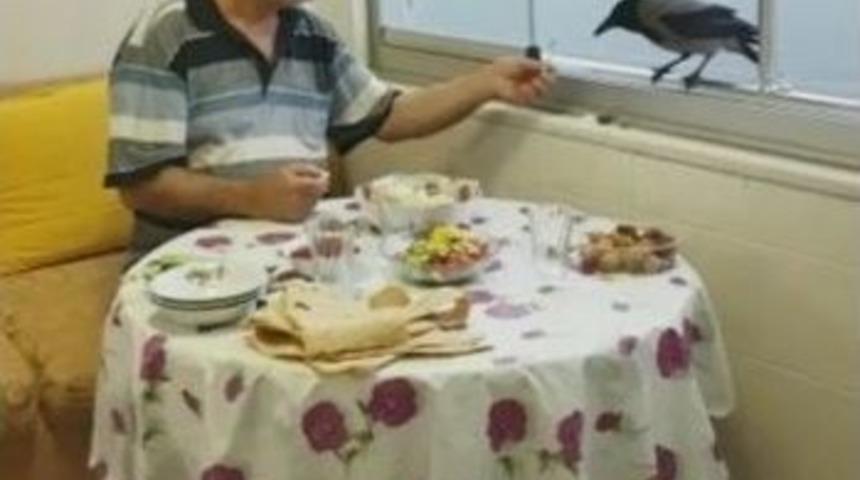 Akıllı Karga Her İftar Sofrada