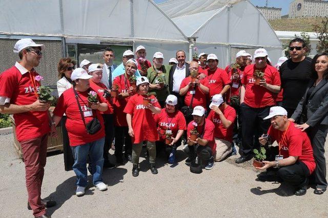 Ziçev Öğrencileri Sevgi Çiçekleri Koruma Alanını Gezdi