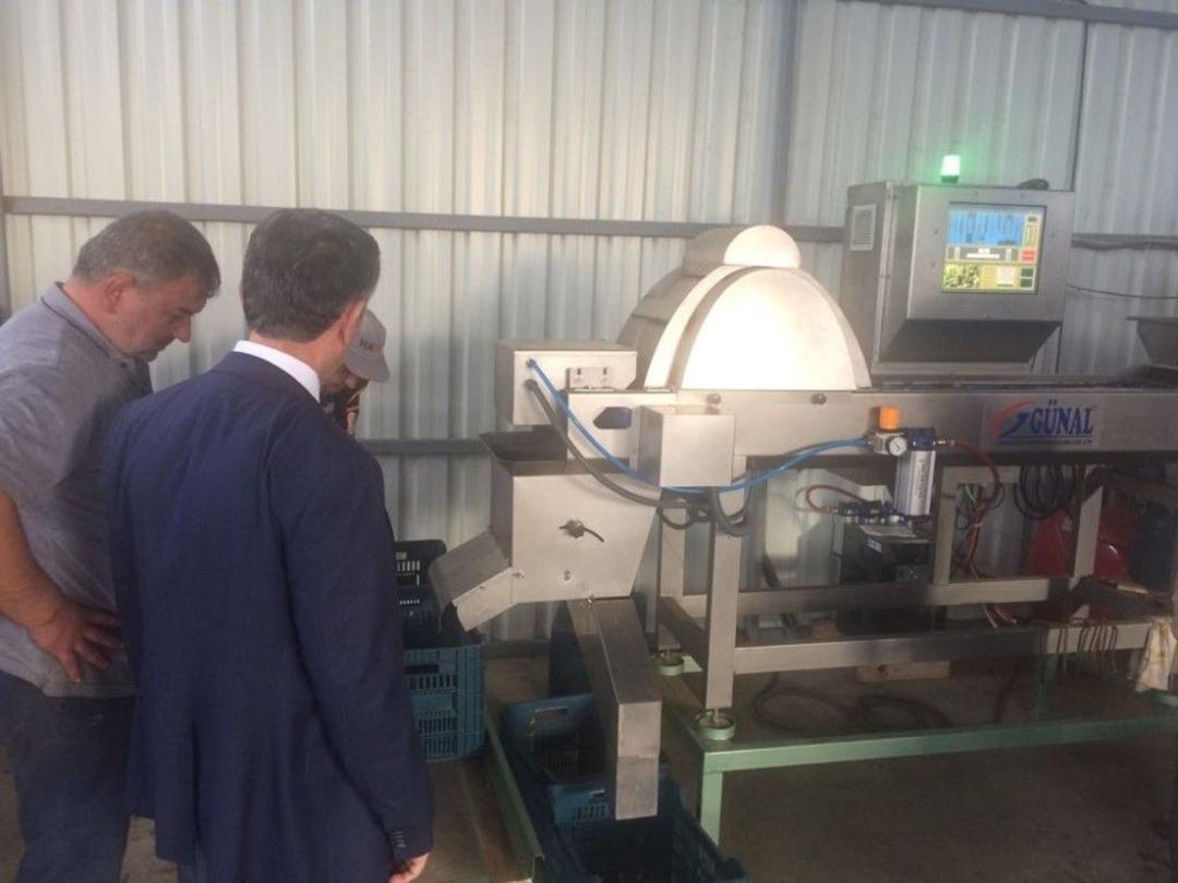 Kaymakam Sırmalı, Zeytinyağı Fabrikalarını Ziyaret Etti