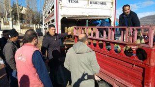 Alucra’da Genç Çiftçilere Destek