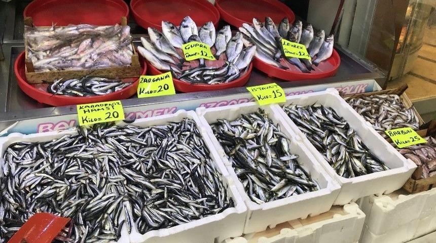 Hamsinin Fiyatı 20 Liraya &Ccedil;ıktı