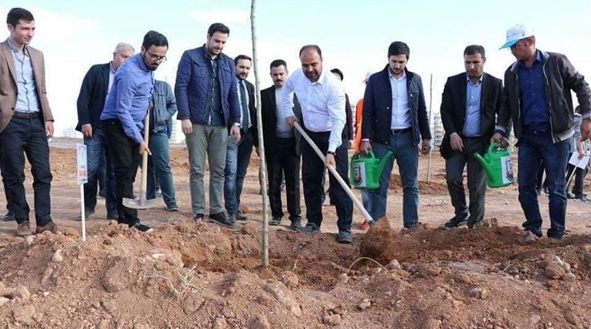 Afrin Şehitleri İ&ccedil;in Fidan Dikimi Yapıldı