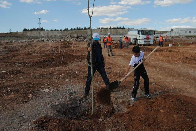 Afrin Şehitleri İçin Fidan Dikimi Yapıldı