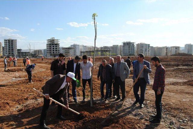 Afrin Şehitleri İçin Fidan Dikimi Yapıldı