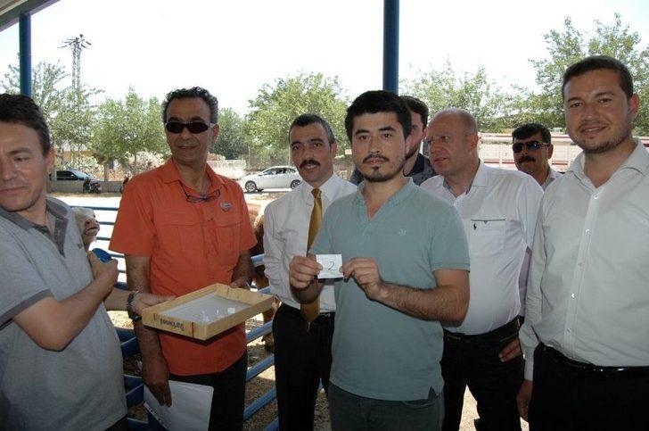 Milas’ta 8 Genç Çiftçiye 48 Büyükbaş Hayvan Verildi G1