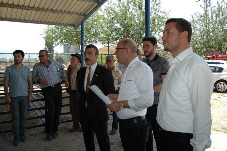 Milas’ta 8 Genç Çiftçiye 48 Büyükbaş Hayvan Verildi G2