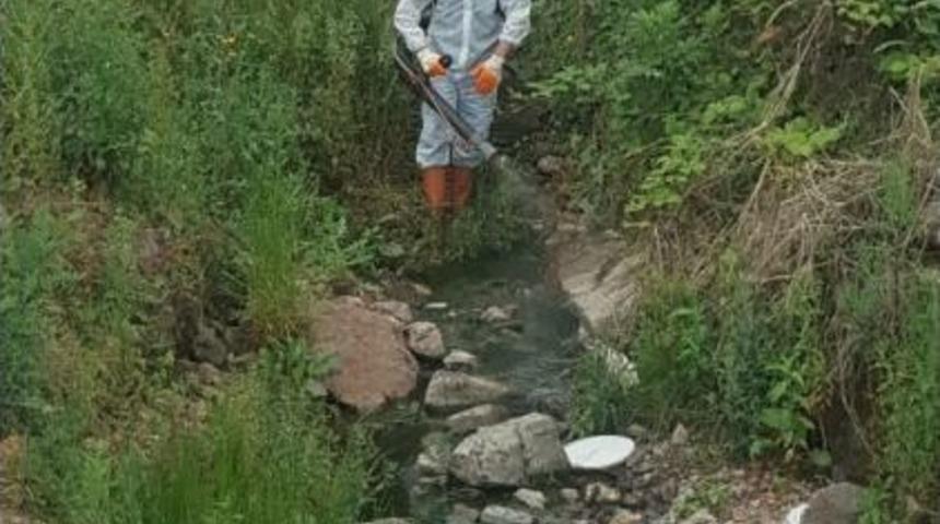 Kdz. Ereğli&rsquo;de Dere Yatakları İla&ccedil;lanıyor