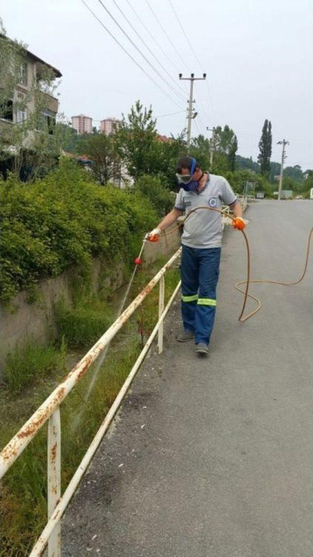 Kdz. Ereğli’de Dere Yatakları İlaçlanıyor