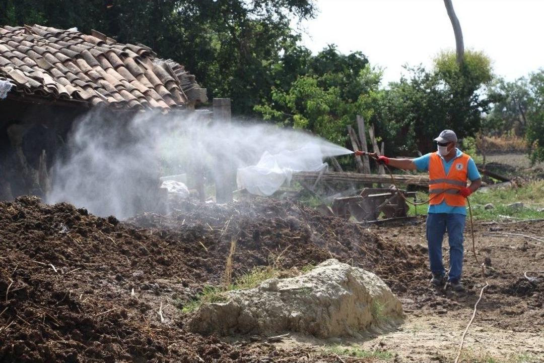 Germencik Belediyesi Haşerelerle M&uuml;cadelede Hız Kesmiyor