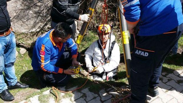 Kuyuya D&uuml;şen K&ouml;peği Afad Kurtardı 1