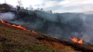 Arazisindeki Otları Yakmak İsterken Yangın Çıkardı