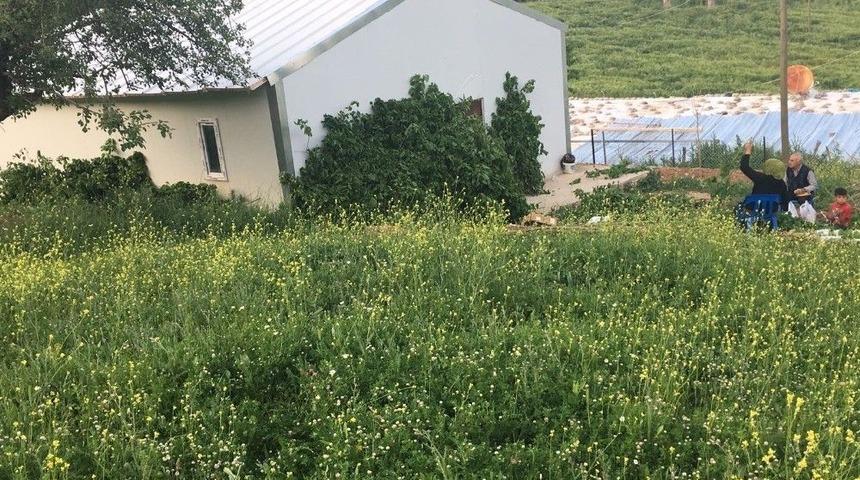 Kulplu Gen&ccedil; &Ccedil;ift&ccedil;i İlk Hasadını Yaptı