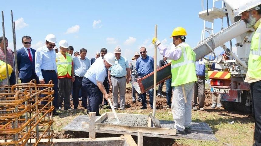 B&ouml;lgenin Damızlık Hayvanları Seyitgazi&rsquo;de Yetişecek