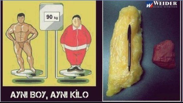 Vücudumuz Neden Yağlanıyor?