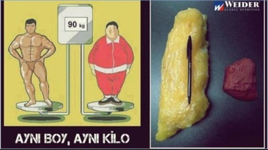 Vücudumuz Neden Yağlanıyor?