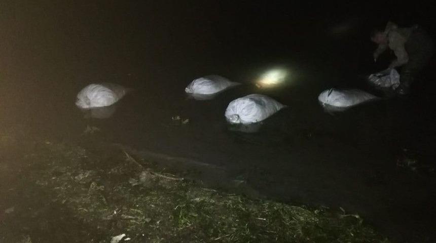 Erciş&rsquo;te 3 Ton İnci Kefali Balığı Ele Ge&ccedil;irildi