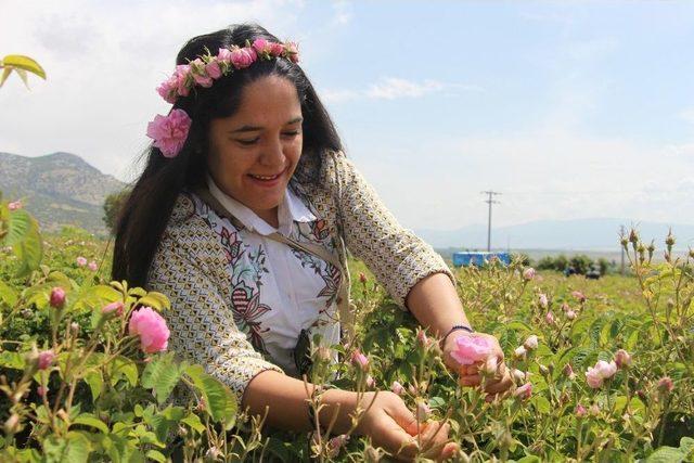 Ardıçlı Köyüne Turist Akını Devam Ediyor