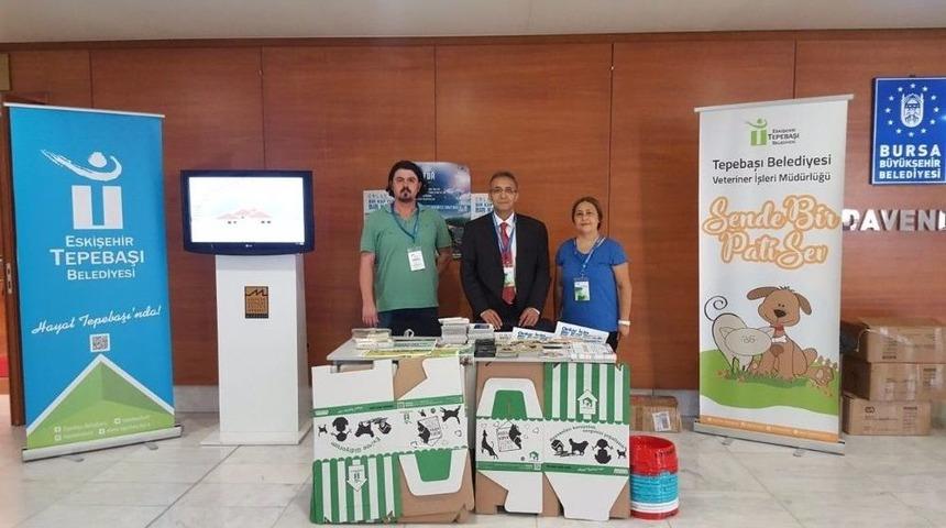 &lsquo;kent Ekosistemi Ve Sokak Hayvanları&rsquo; Sempozyumu