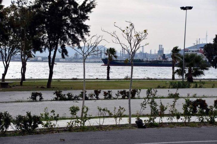 Aliağa’da Plajlar Bölgesine Ağaç Takviyesi G2