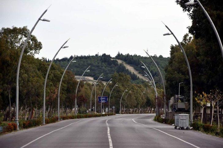 Aliağa’da Plajlar Bölgesine Ağaç Takviyesi G3
