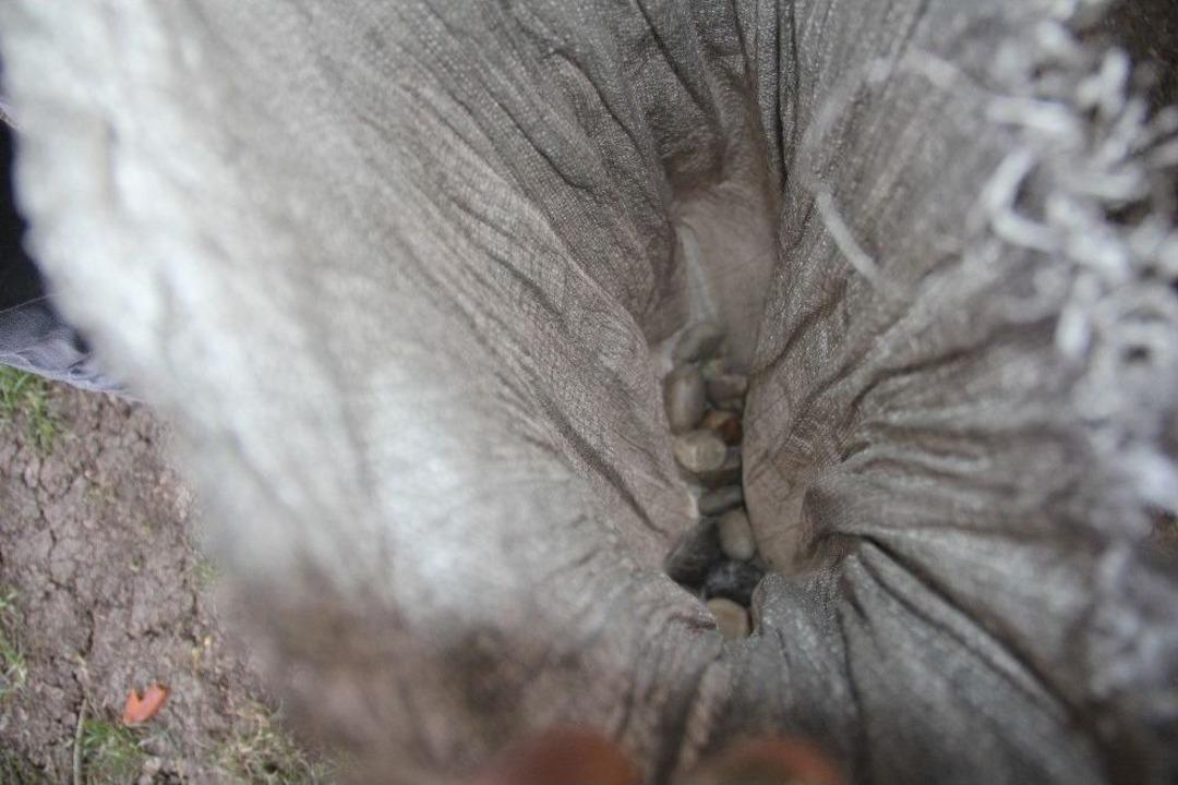 Torbasından Taş &Ccedil;ıkan Adam: "taşları Yastık Yapmak İ&ccedil;in Topladım"