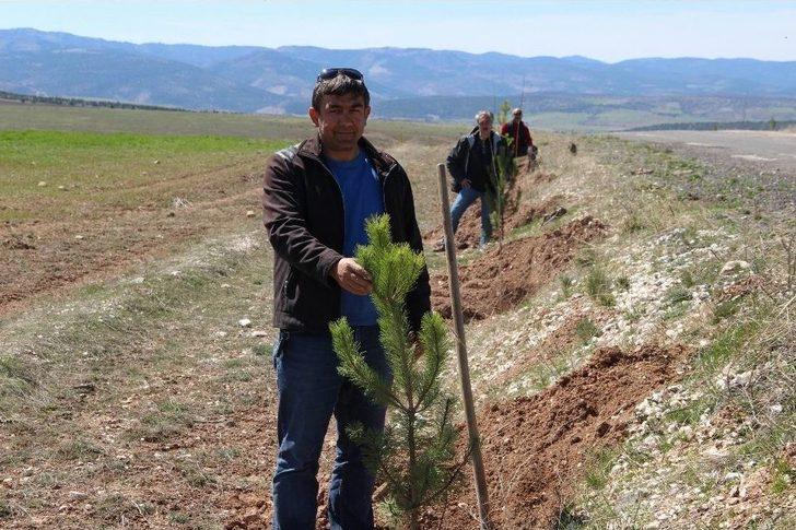 Ata’ya Giden Yolu 11 Kilometre Boyunca Ağaçlandırdılar G1