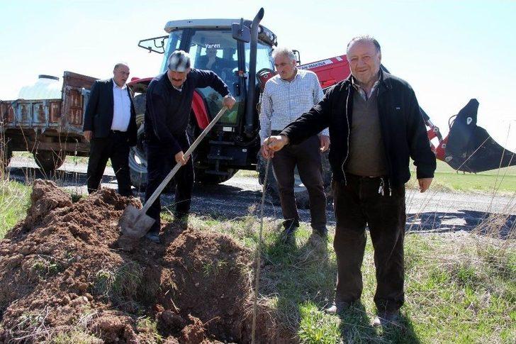 Ata’ya Giden Yolu 11 Kilometre Boyunca Ağaçlandırdılar G4