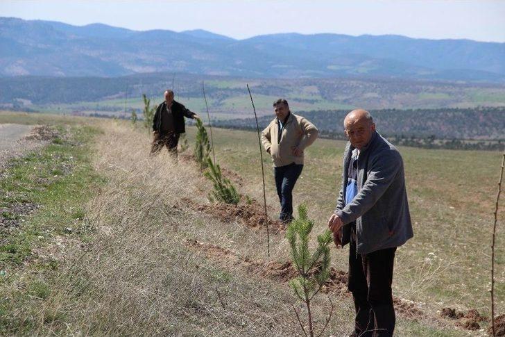 Ata’ya Giden Yolu 11 Kilometre Boyunca Ağaçlandırdılar G5