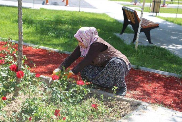 İş-kur Çalışanları İş Başı Yaptı