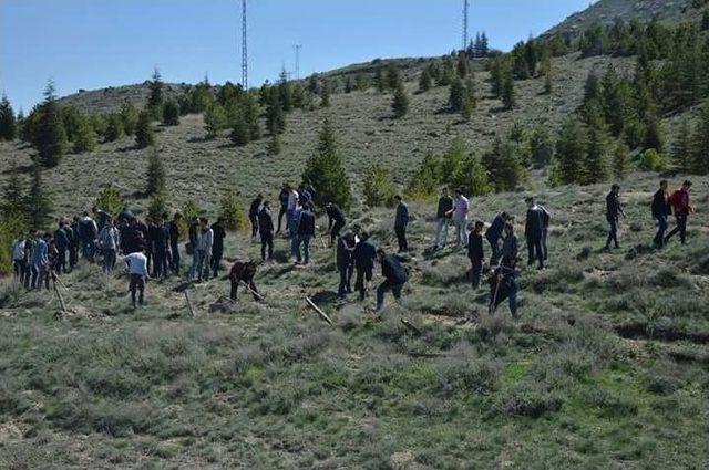 1071 Fidan Başbuğ Hatırasına Toprakla Buluştu