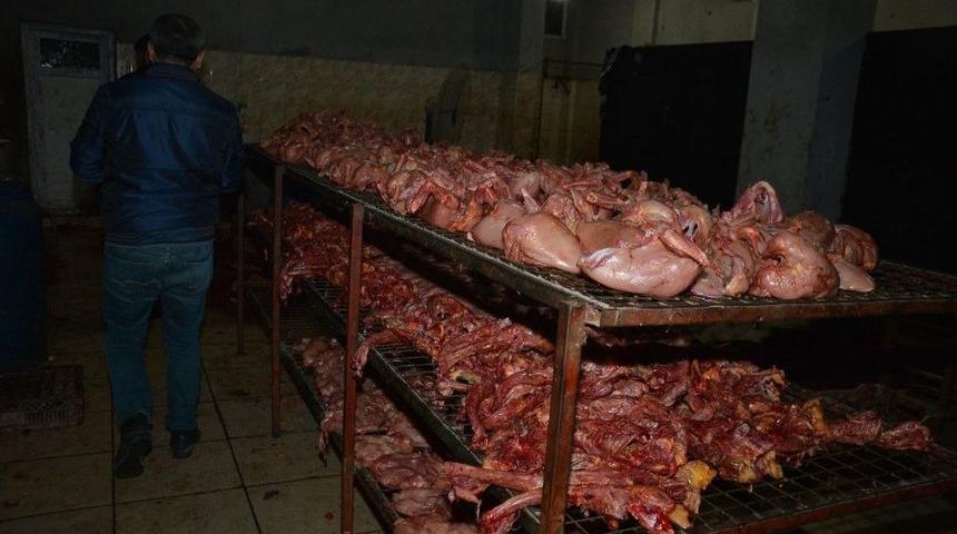 Kaçak Tavuk Kesimhanesine Baskın