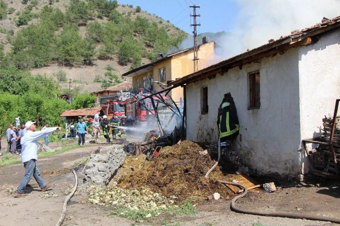 Ahırdaki Hayvanları Alevlerden Delik A&ccedil;arak Kurtardılar