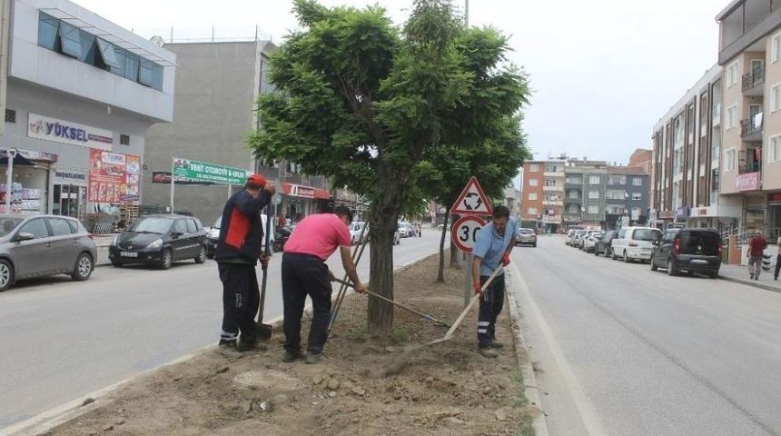 G&uuml;rsu&rsquo;nun Vitrinine Yaz Işıltısı