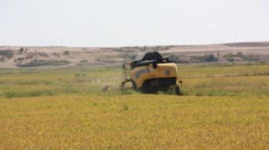 Edirne&rsquo;de Hububat Hasadı Fiyatları A&ccedil;ıklandı