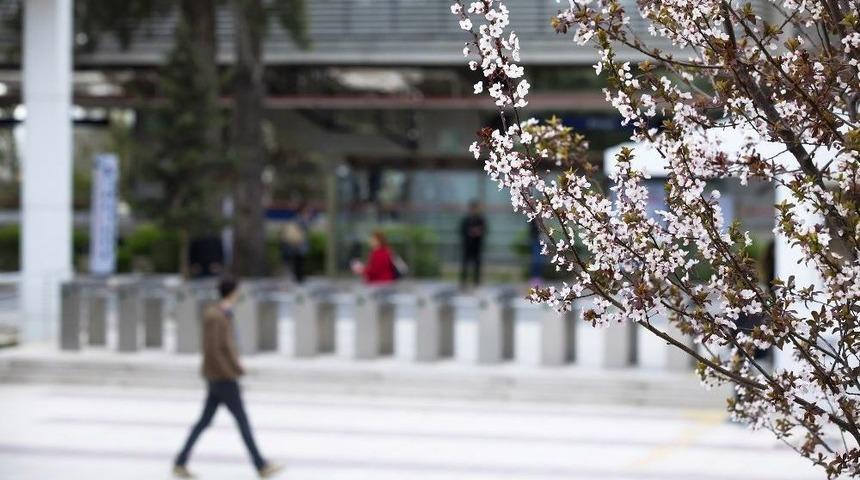 Baharın Tadını &Ccedil;ıkarmak İ&ccedil;in Bu &Ouml;nerileri Dikkate Alın