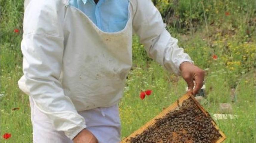 Arı Yetiştiricileri Birliği Başkanı &Ouml;zdemir&rsquo;den Arıcılara Uyarı