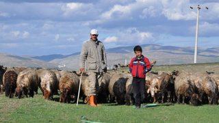 Çoban Maliyeti 5-6 Bin Tl’yi Bulunca Hayvanlarına Kendileri Bakıyor