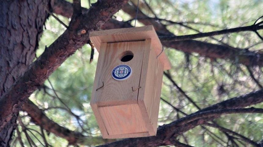 Muğla&rsquo;nın Kuşlarına B&uuml;y&uuml;kşehir G&uuml;vencesi
