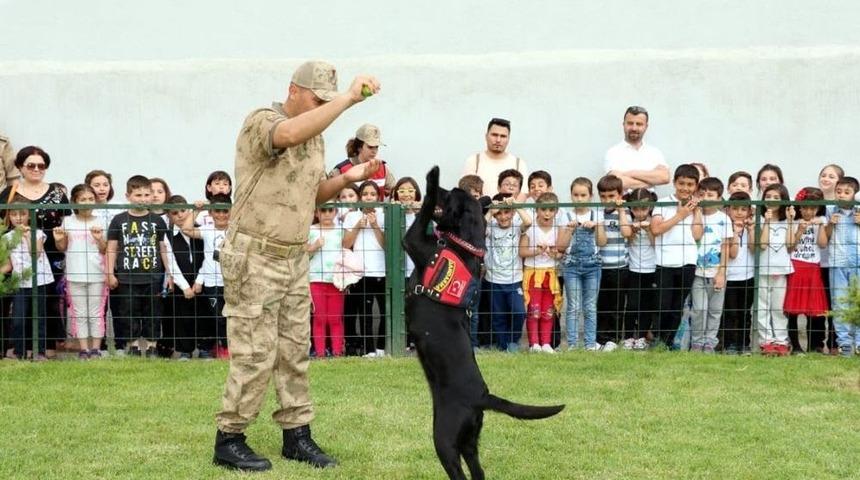 Jandarma Erzak Tespit K&ouml;peği &rsquo;bahis&rsquo; &Ouml;ğrencilerin G&ouml;zdesi Oldu